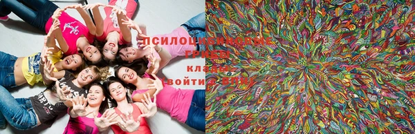 ешки Горно-Алтайск