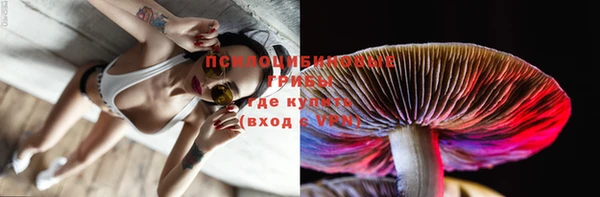 кристаллы Горняк