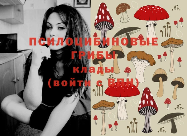 ешки Горно-Алтайск
