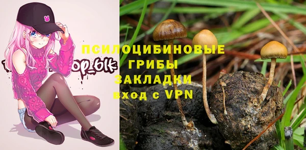 синтетический гашиш Горнозаводск